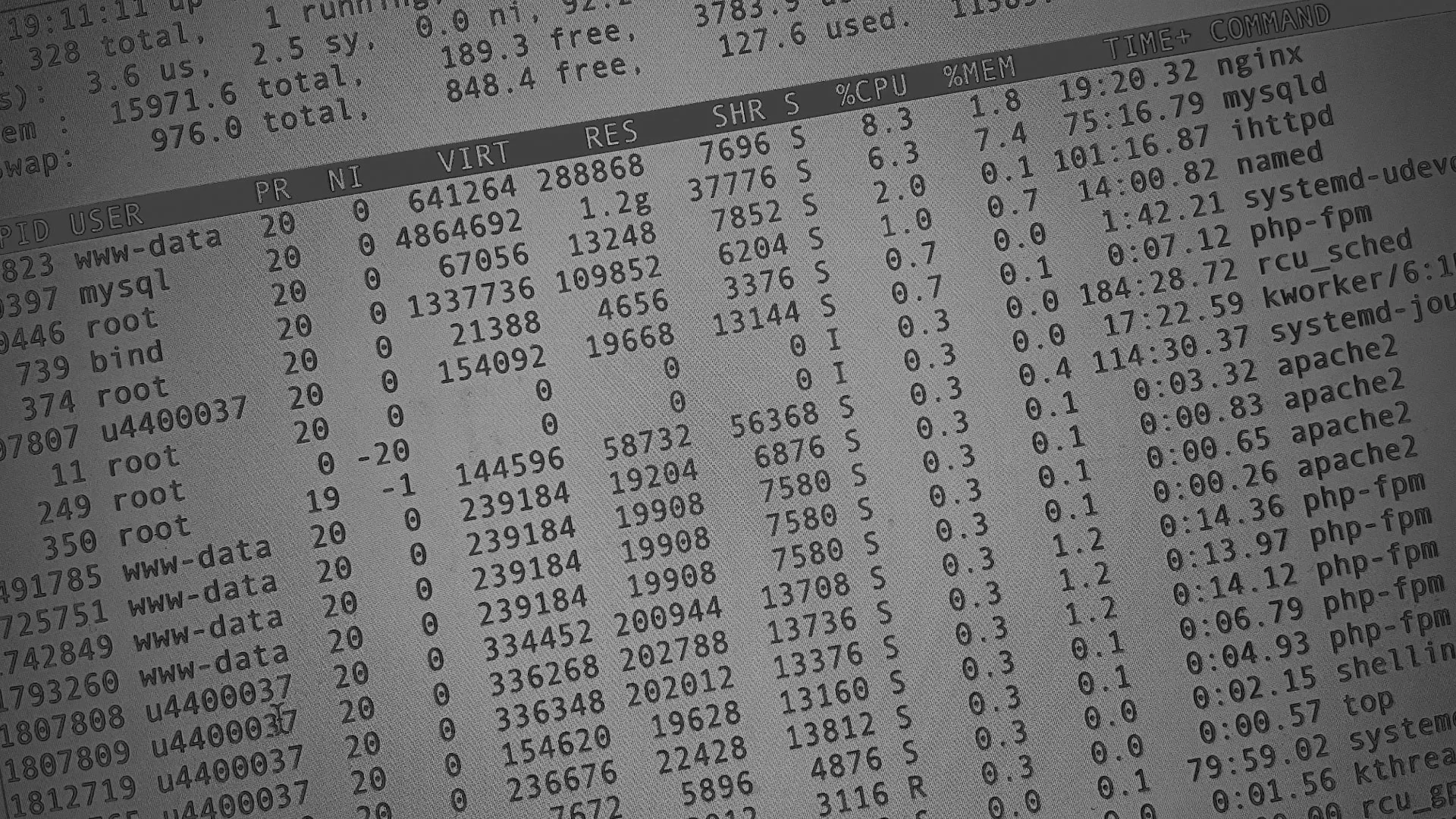 Настройка сервера в Кунгуре