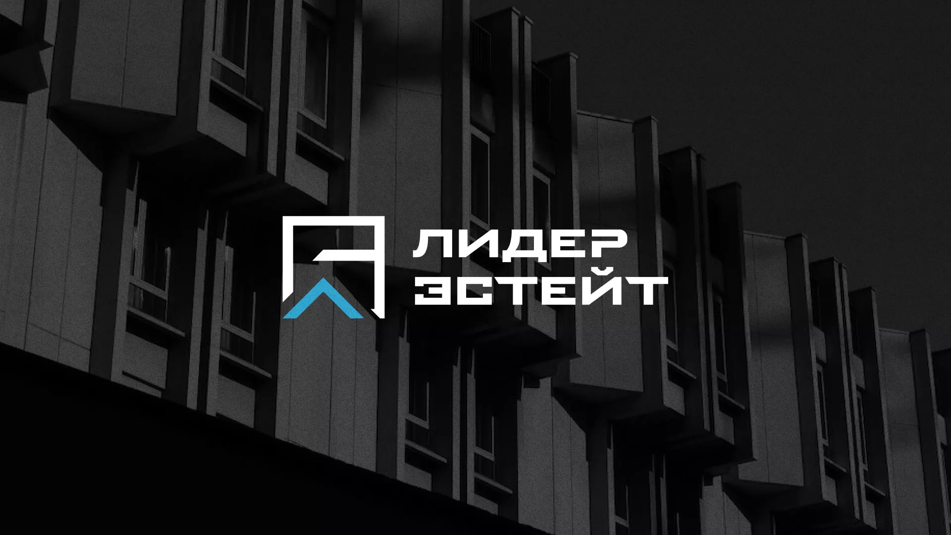 Разработка логотипа агентства недвижимости «Лидер Эстейт» в Кунгуре